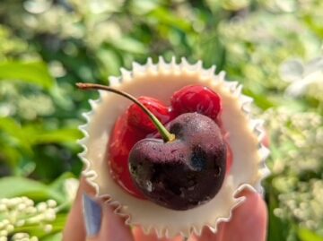 {{brizy_dc_image_alt entityId=