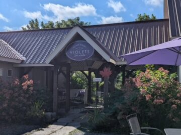 {{brizy_dc_image_alt entityId=