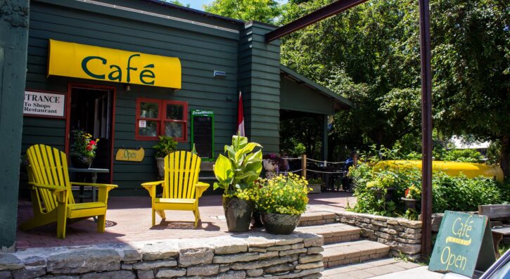 {{brizy_dc_image_alt entityId=