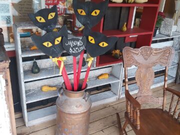 {{brizy_dc_image_alt entityId=