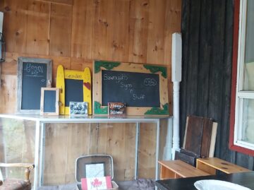 {{brizy_dc_image_alt entityId=