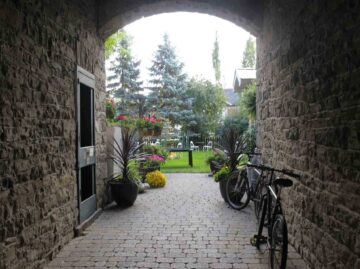 {{brizy_dc_image_alt entityId=