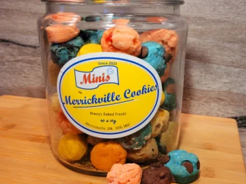 {{brizy_dc_image_alt entityId=