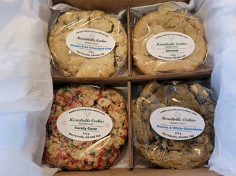 {{brizy_dc_image_alt entityId=