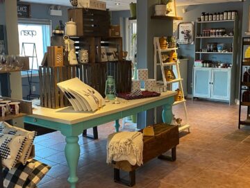 {{brizy_dc_image_alt entityId=